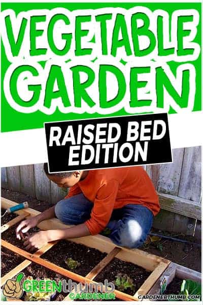 grow vegetables