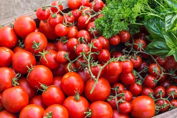 Growing Cherry Tomatoes [Beginner Guide]
