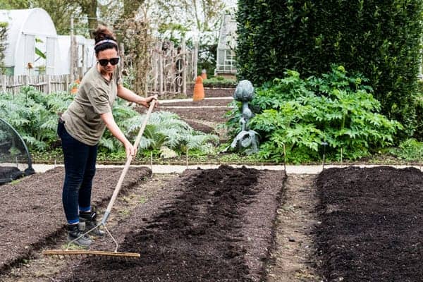 How To Prepare Soil For Planting Vegetables [Black Gold]