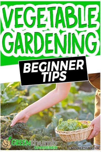 vegetable gardening