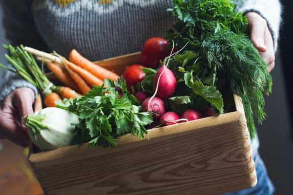When to Plant A Vegetable Garden