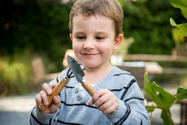 Easy To Grow Vegetables For First Time Gardener