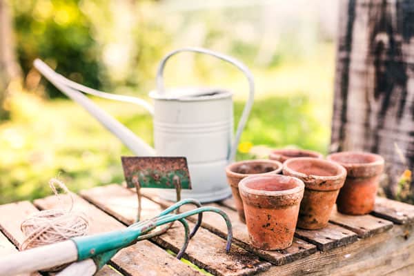 Gifts For Vegetable Gardeners