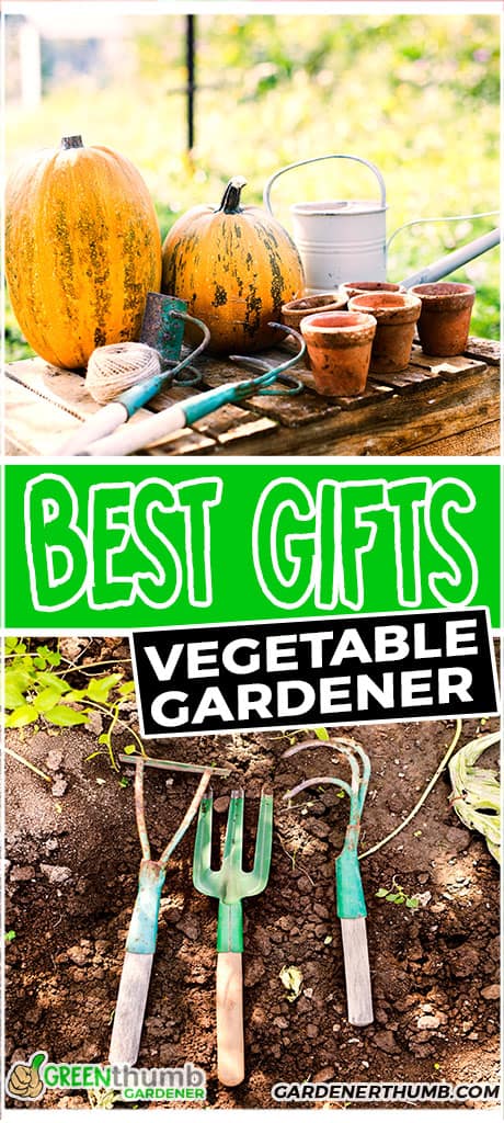 best gifts vegetable gardener
