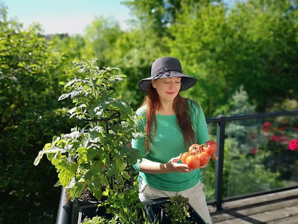 Growing Vegetables in Pots On Balcony [Beginner Guide]