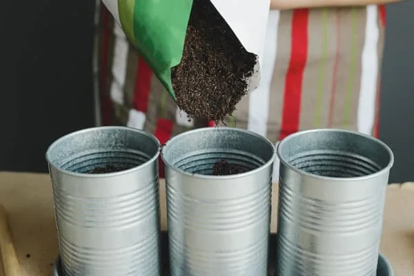 Best Soil Mix For Container Gardening