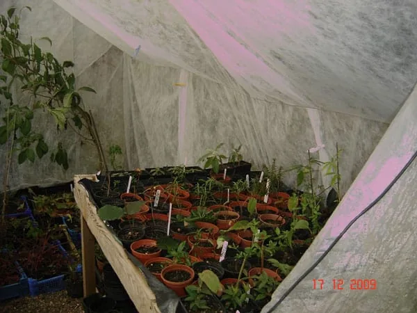 Best Inline Fan For Grow Tent