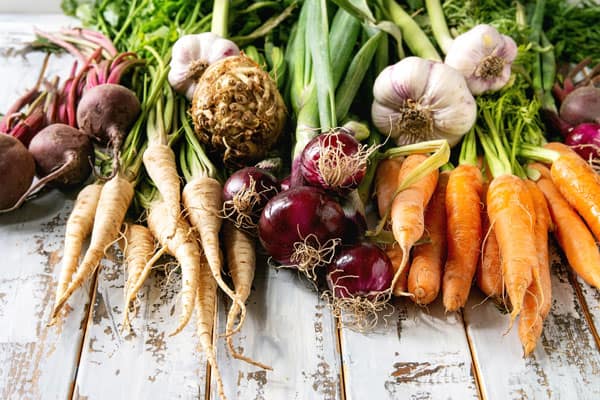 5 Best Rooting Hormone [Beginner Guide]