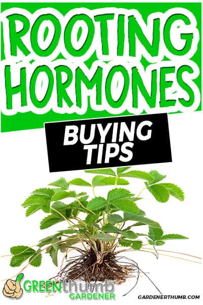 rooting hormones buying tips