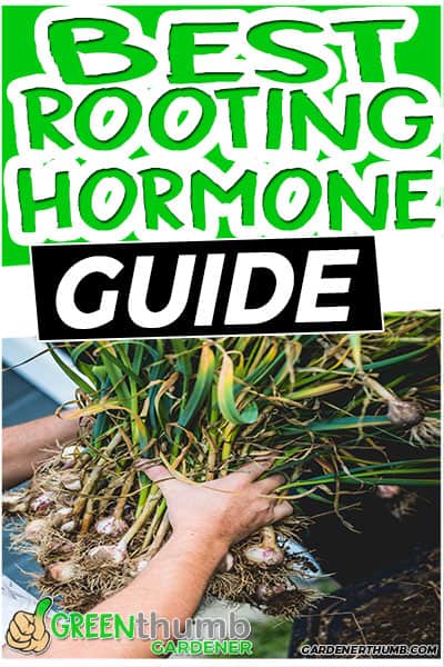 best rooting hormone guide