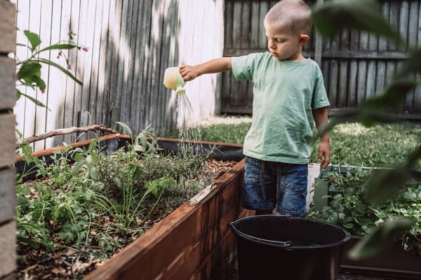 How To Grow A Small Vegetable Garden [Beginner Guide]
