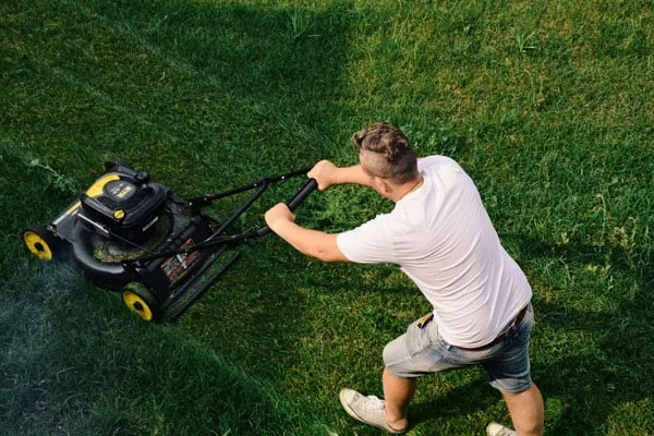 Best Large Walk Behind Mower
