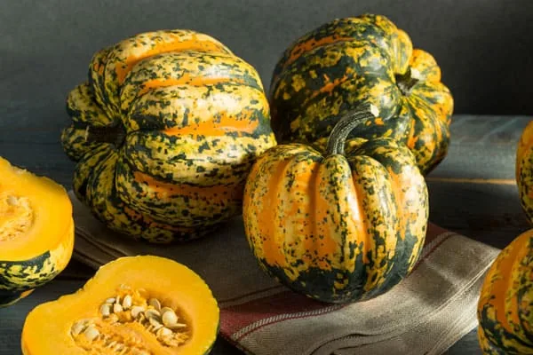 How To Grow Acorn Squash [Beginner Guide]