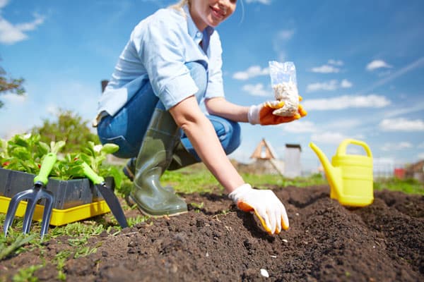 How To Save Squash Seeds [Easy Way]