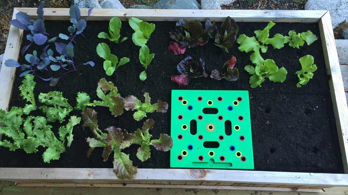 Seeding Square Review: Square Foot Gardening Tool