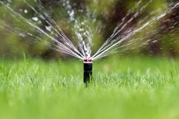 Best Sprinkler For Small Lawn