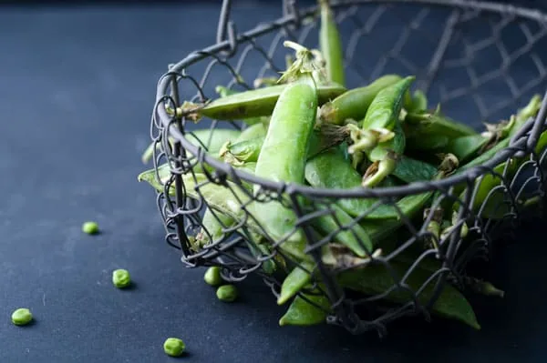 When Are Green Beans Ready To Pick? [Easy Way]
