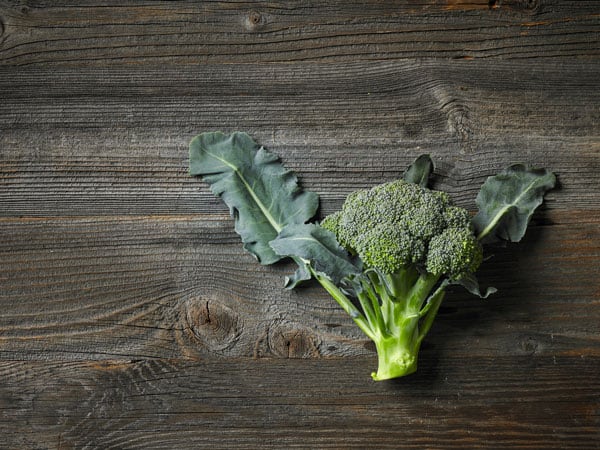 When To Transplant Broccoli [Right Way]