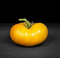 Azoychka Tomato