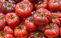 Black Krim Tomato