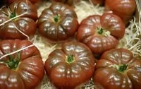 Cherokee Purple Tomato