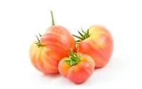 Hillbilly Tomato