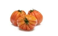 Italian Heirloom Tomato
