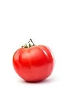 Mortgage Lifter Tomato