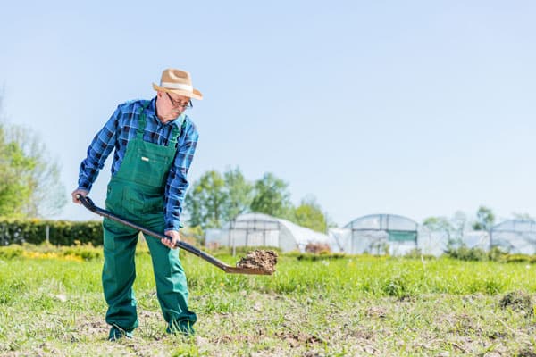 Best Garden Shovel