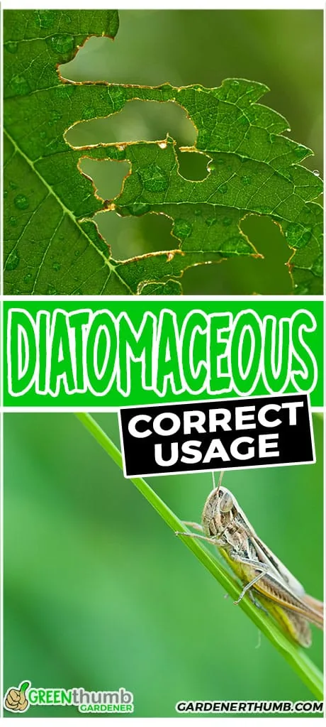 diatomaceous correct usage