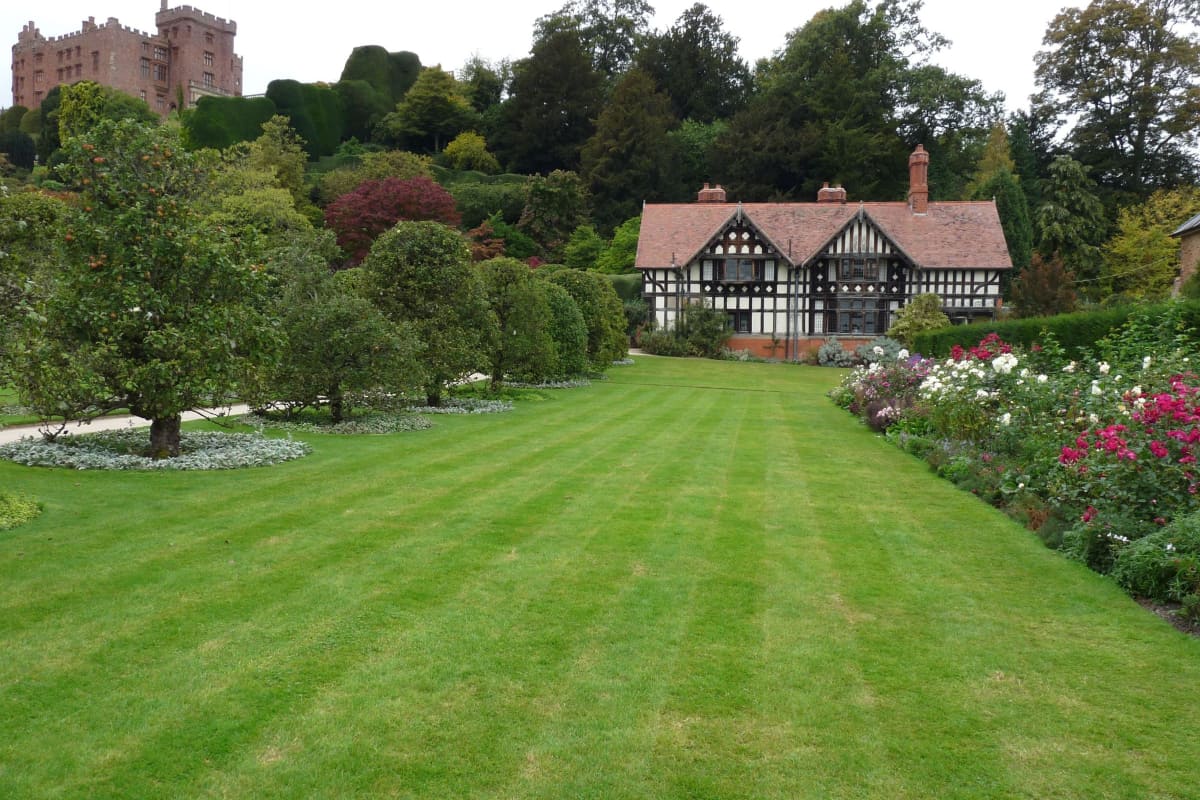 Best Organic Lawn Fertilizer