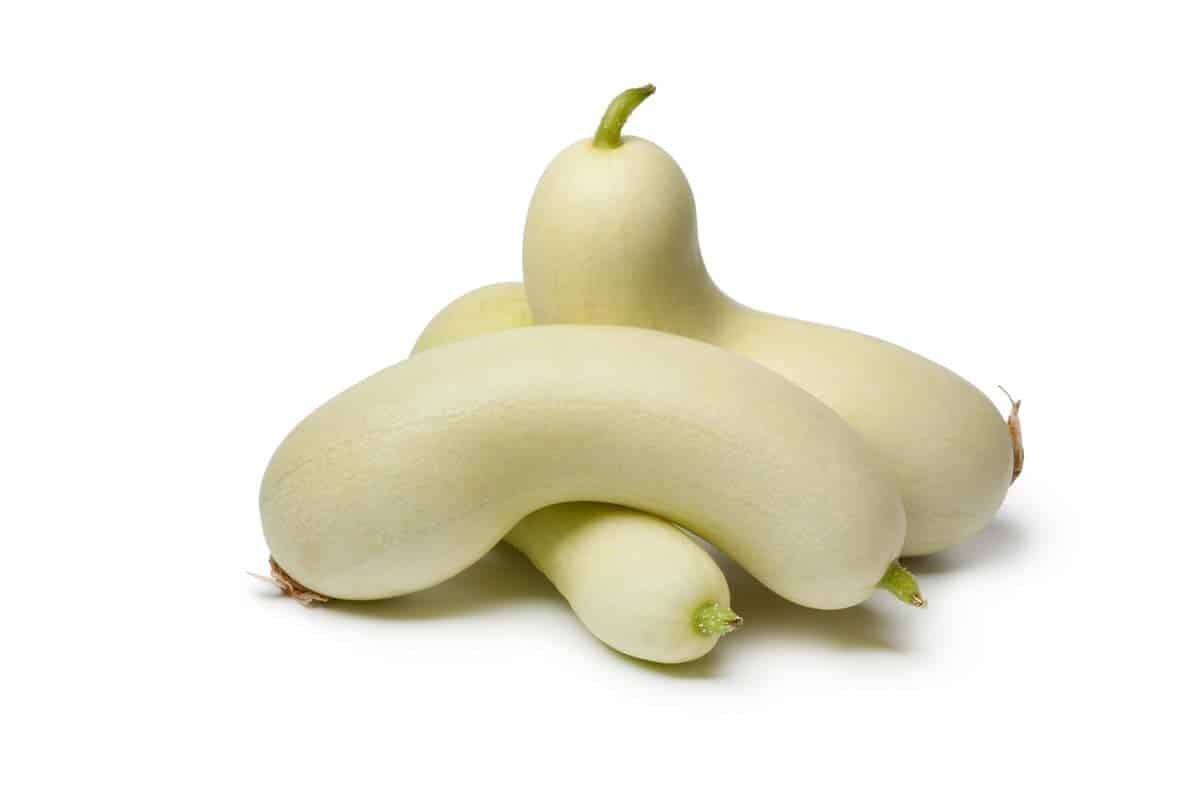 Why Are My Cucumbers White & Solutions To Fix Them